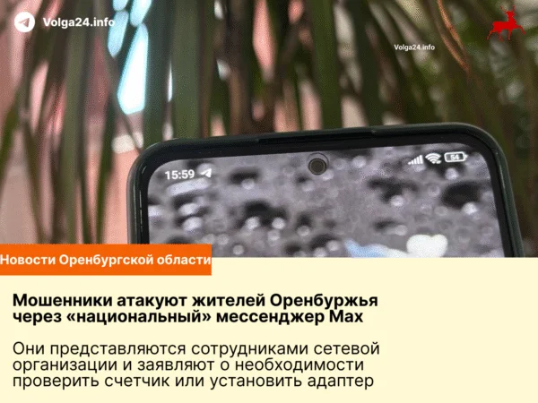 Мошенники атакуют жителей Оренбуржья через «национальный» мессенджер Max