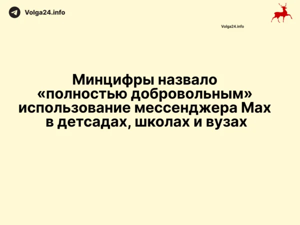 Минцифры назвало «полностью добровольным» использование мессенджера Max в детсадах, школах и вузах