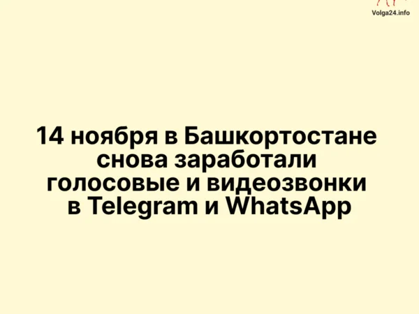 14 ноября в Башкортостане снова заработали голосовые и видеозвонки в Telegram и WhatsApp