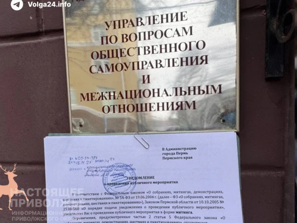 Активисты «Рассвета» подали новое уведомление на митинг в Перми