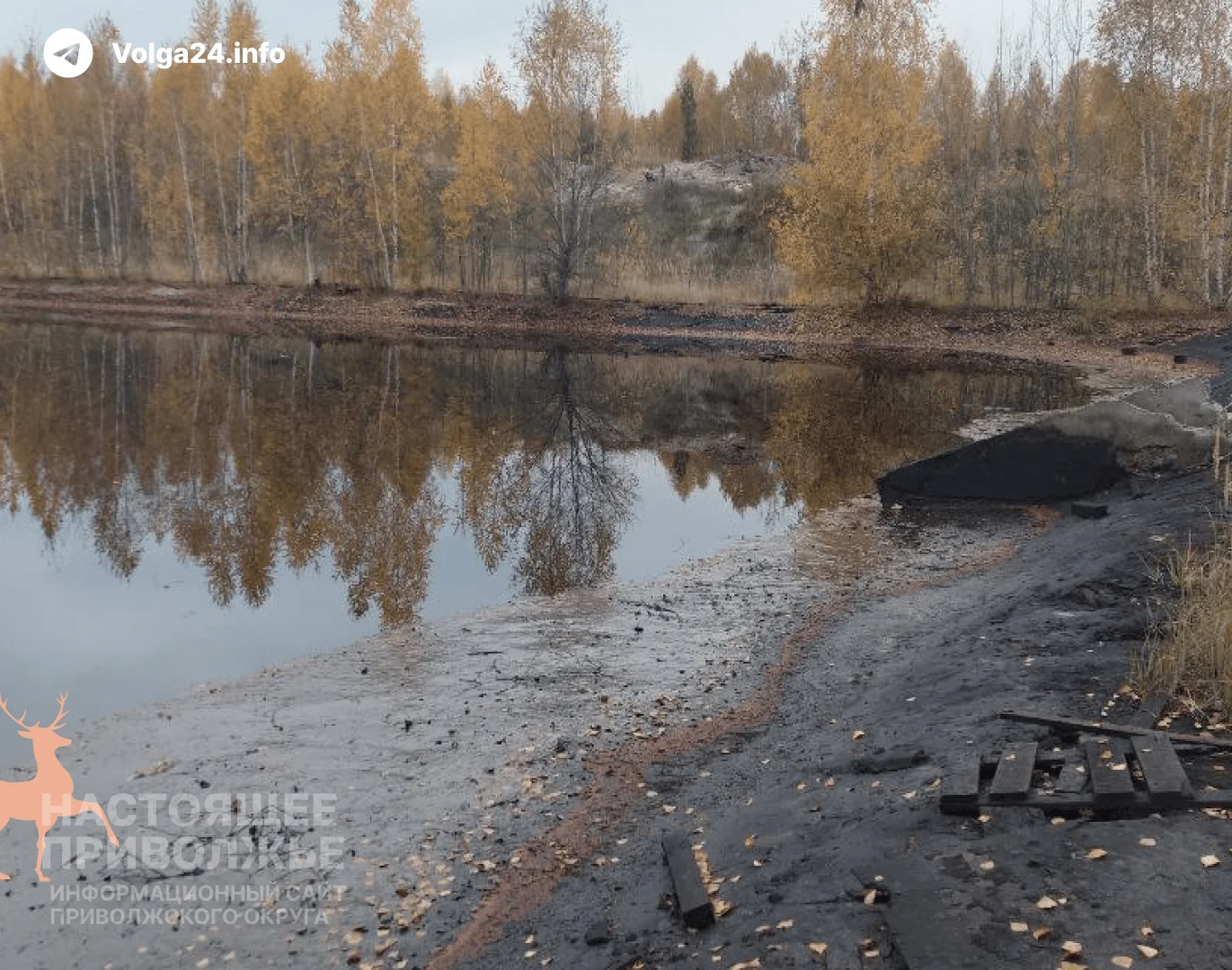 Заволжский моторный завод снова оштрафовали за загрязнение почв