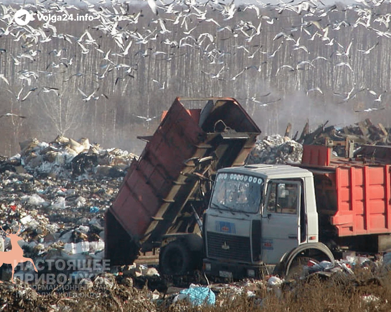 В Нижегородской области возбудили дело из-за 12 тыс. тонн мусора и ущерба в 400 млн рублей