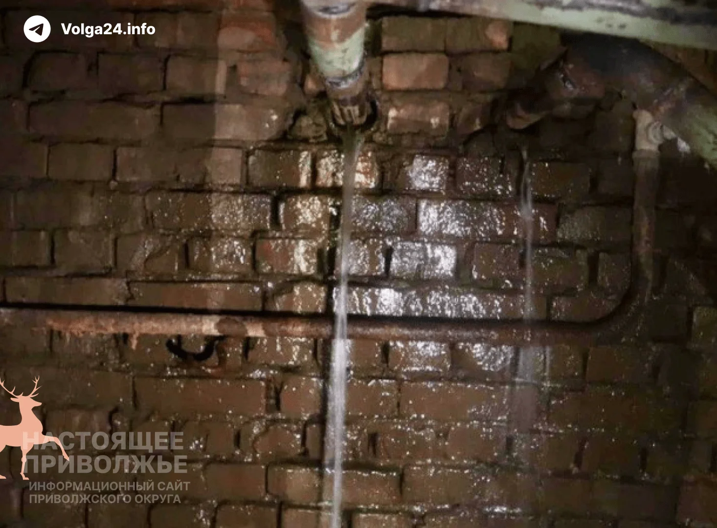 В Кирове жители месяц оставались без отопления из-за затопленного подвала