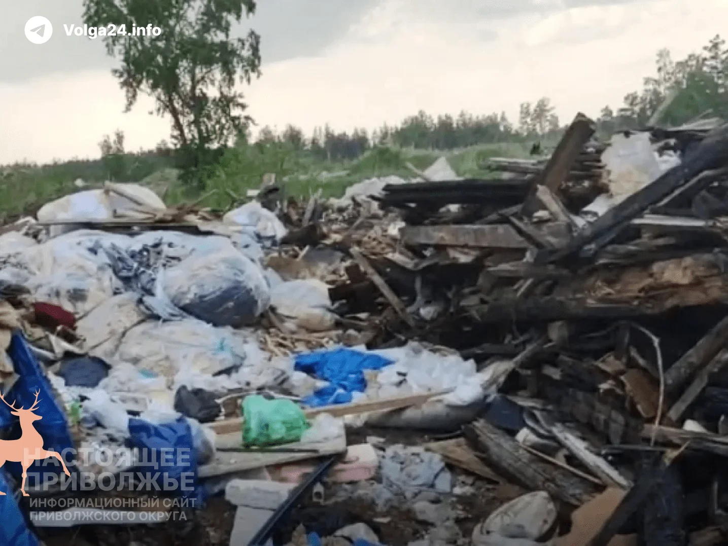 В Нижегородской области возбудили уголовное дело из-за незаконной свалки
