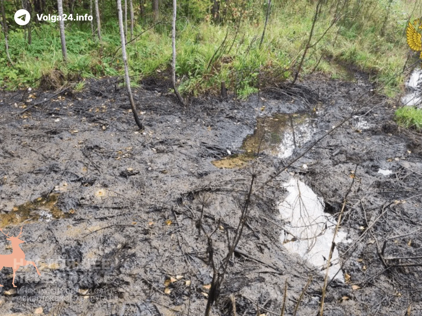 В Пермском крае возбудили уголовное дело по факту загрязнения почвы нефтепродуктами