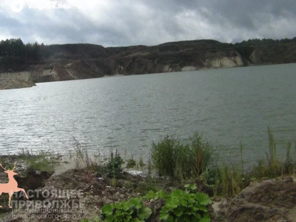 В Чувашии суд обязал мясное предприятие прекратить загрязнение воды