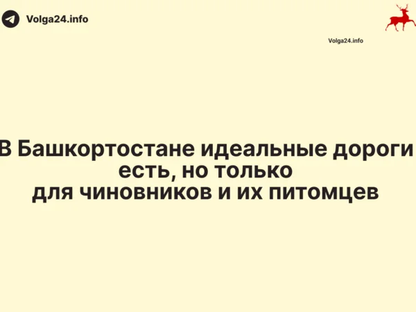 В Башкортостане идеальные дороги есть, но только для чиновников и их питомцев