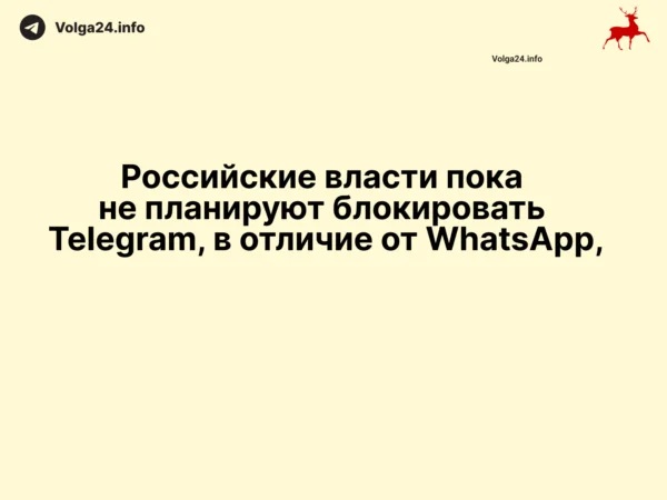Российские власти пока не планируют блокировать Telegram, в отличие от WhatsApp, сообщают три источника, близких к Кремлю