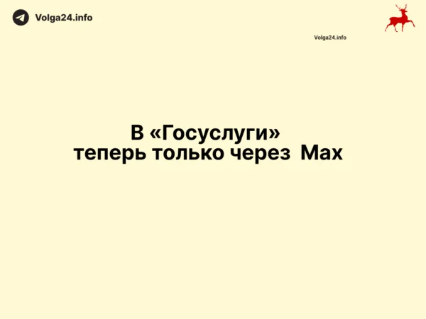 В «Госуслуги» теперь только через  Max