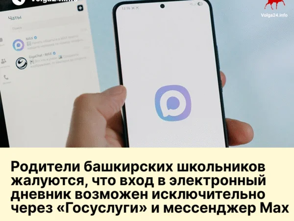 Родители башкирских школьников жалуются, что вход в электронный дневник возможен исключительно через «Госуслуги» и мессенджер Max