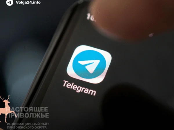 Госдума готовит мессенджеру Telegram «судьбу WhatsApp»