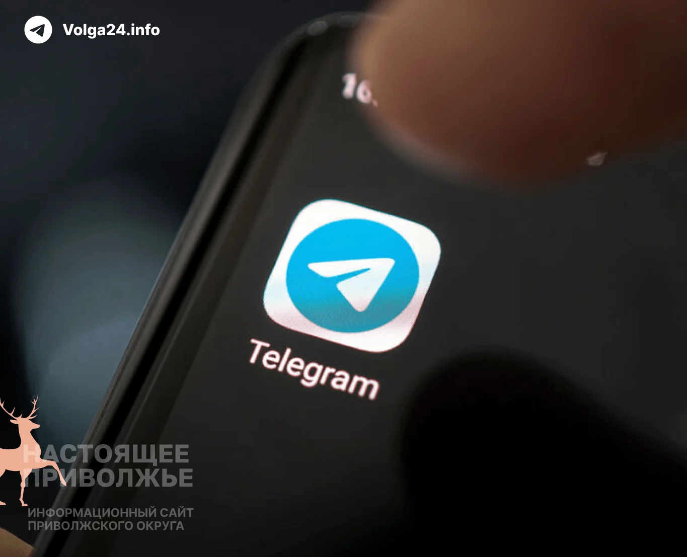 Госдума готовит мессенджеру Telegram «судьбу WhatsApp»