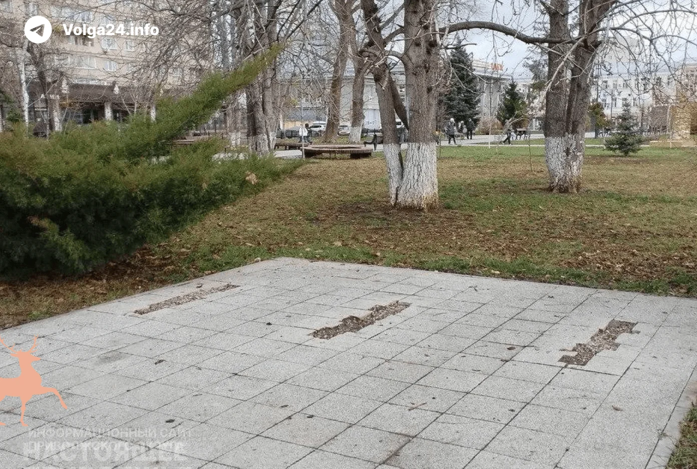 Памятник жертвам домашнего насилия в Саратове не будут восстанавливать