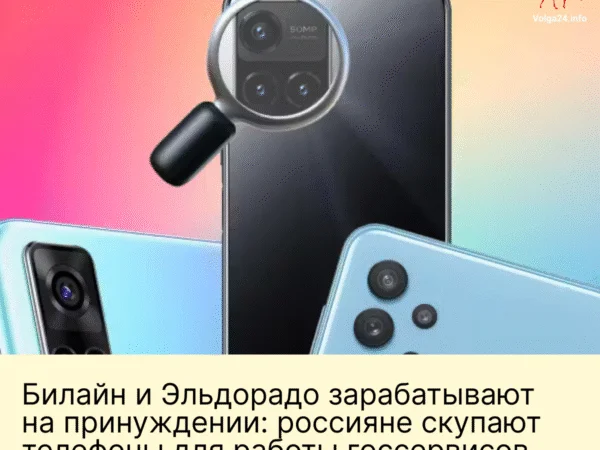 Билайн и Эльдорадо зарабатывают на принуждении: россияне скупают телефоны для работы госсервисов