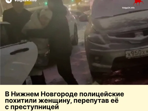 В Нижнем Новгороде полицейские похитили женщину, перепутав её с преступницей