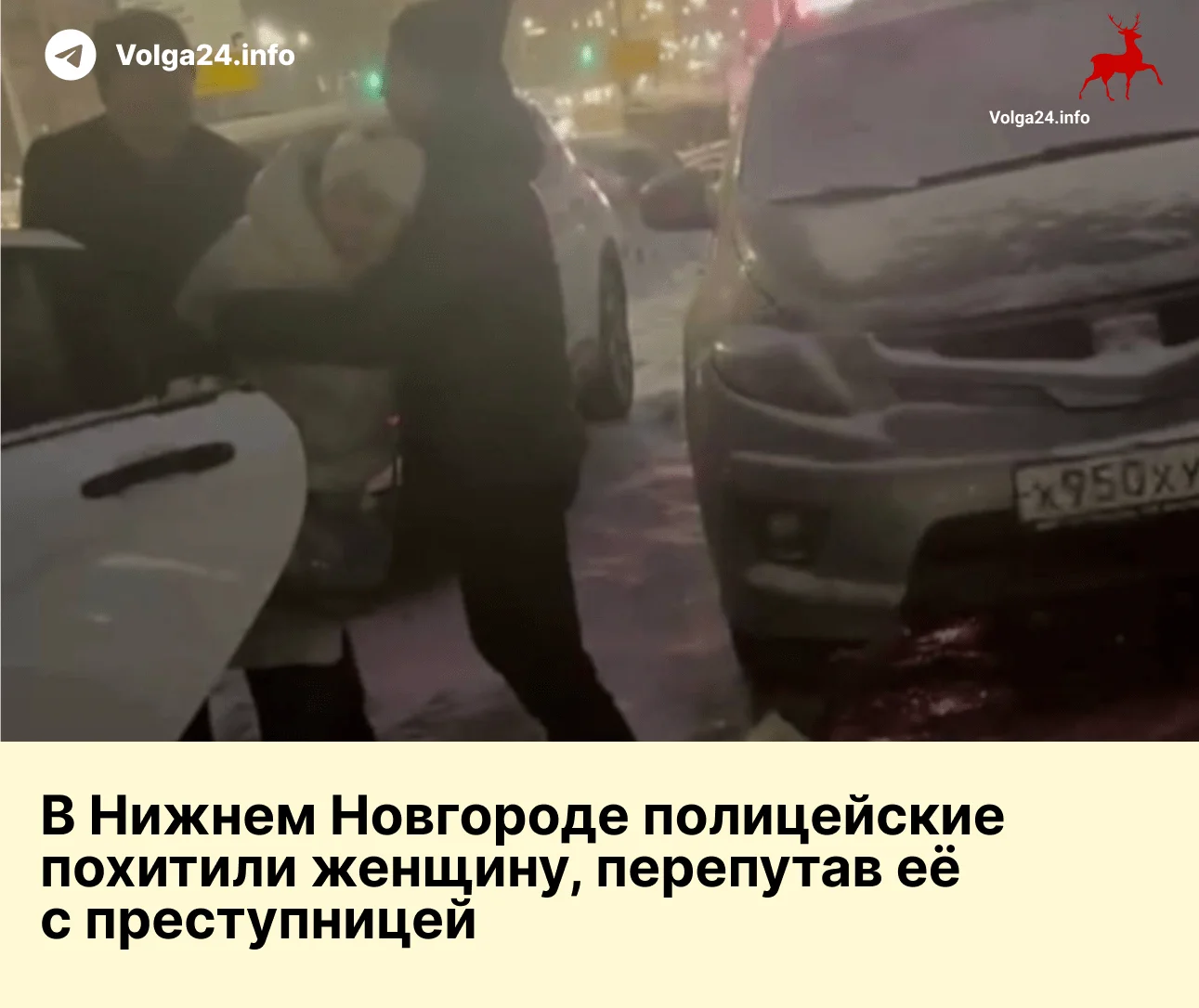 В Нижнем Новгороде полицейские похитили женщину, перепутав её с преступницей