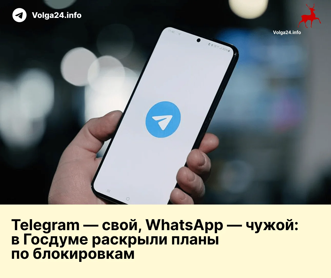 Telegram — свой, WhatsApp — чужой: в Госдуме раскрыли планы по блокировкам