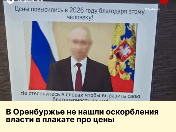 В Оренбуржье не нашли оскорбления власти в плакате про цены