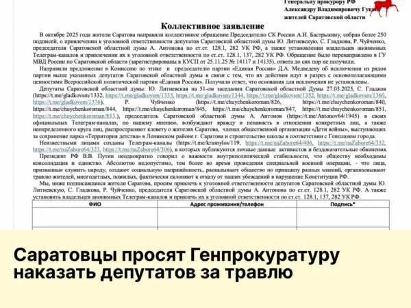 Саратовцы просят Генпрокуратуру наказать депутатов за травлю
