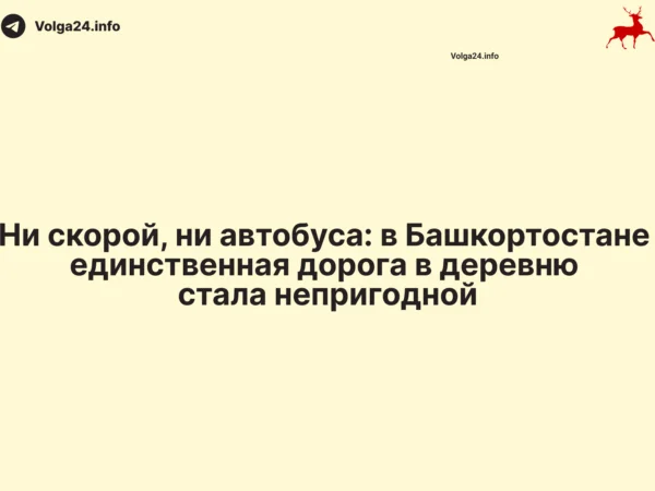 Ни скорой, ни автобуса: в Башкортостане единственная дорога в деревню стала непригодной