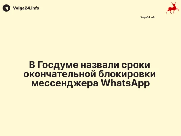 В Госдуме назвали сроки окончательной блокировки мессенджера WhatsApp