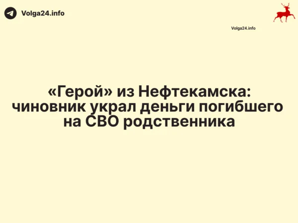 «Герой» из Нефтекамска: чиновник украл деньги погибшего на СВО родственника