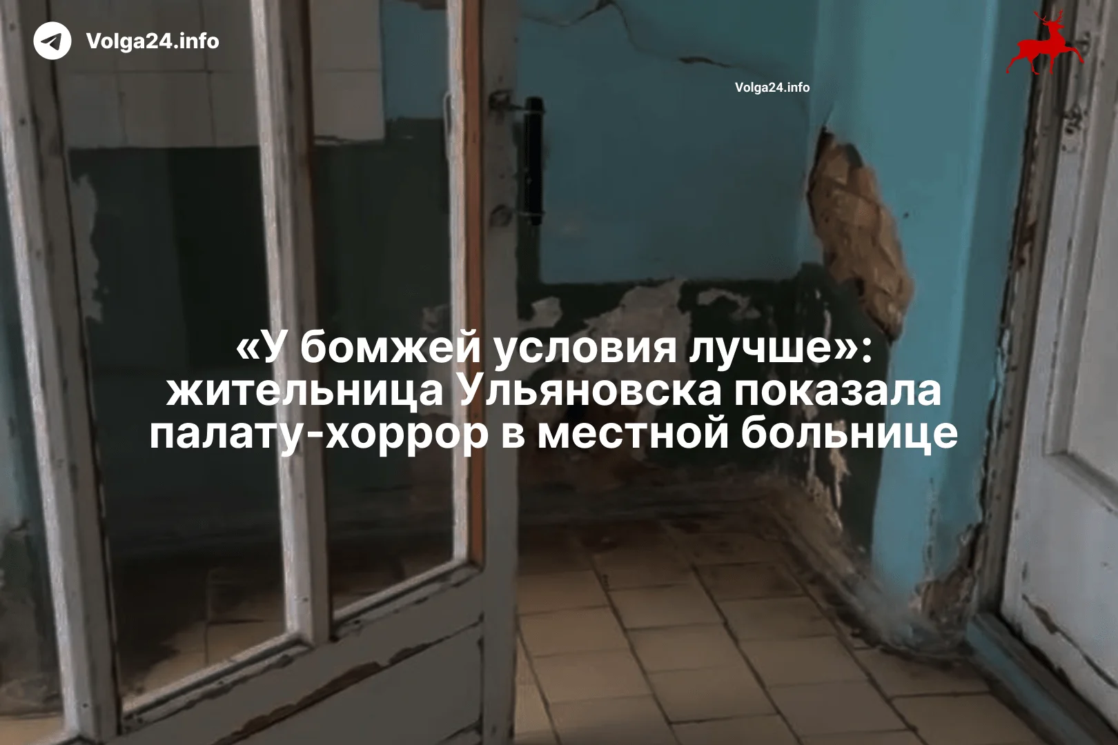 «У бомжей условия лучше»: жительница Ульяновска показала палату-хоррор в местной больнице