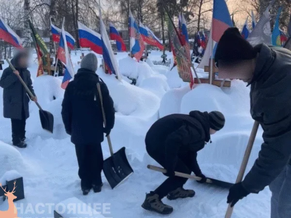 Патриотизм с лопатой: почему за могилами героев в Балахне следят дети, а не мэрия?
