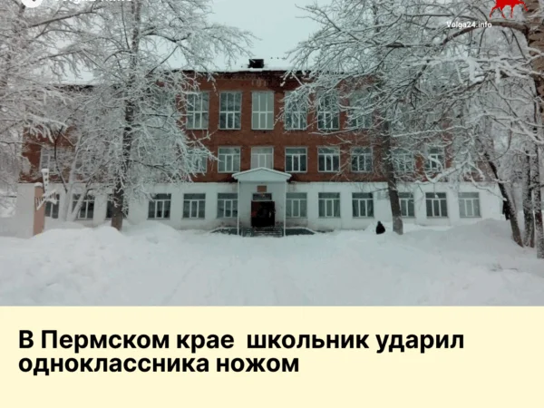 В Пермском крае школьник ударил одноклассника ножом