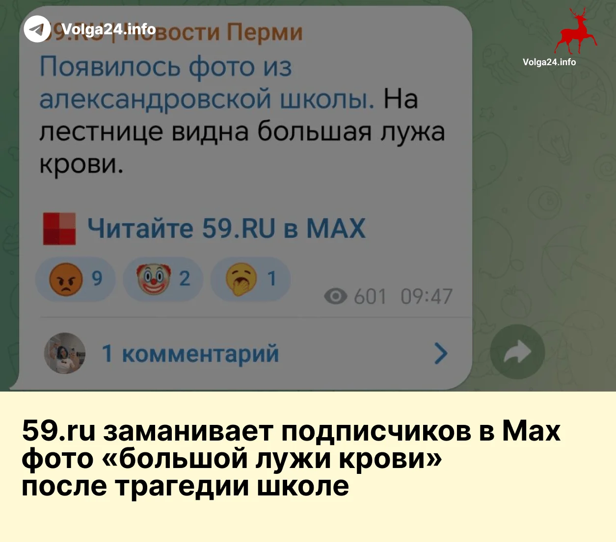  59.ru заманивает подписчиков в MAX фото «большой лужи крови» после трагедии 