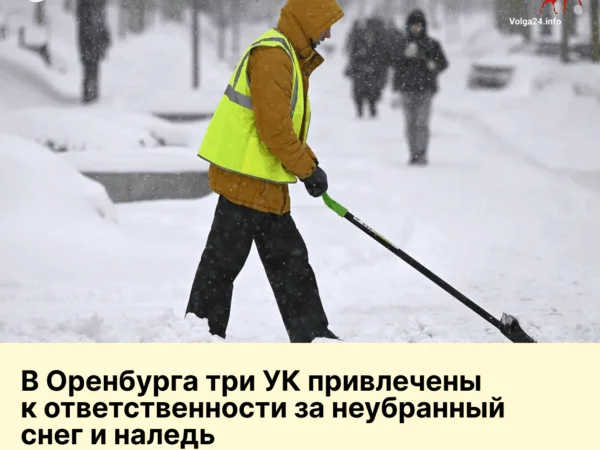 Управляйки не умеют работать без прокурорских проверок