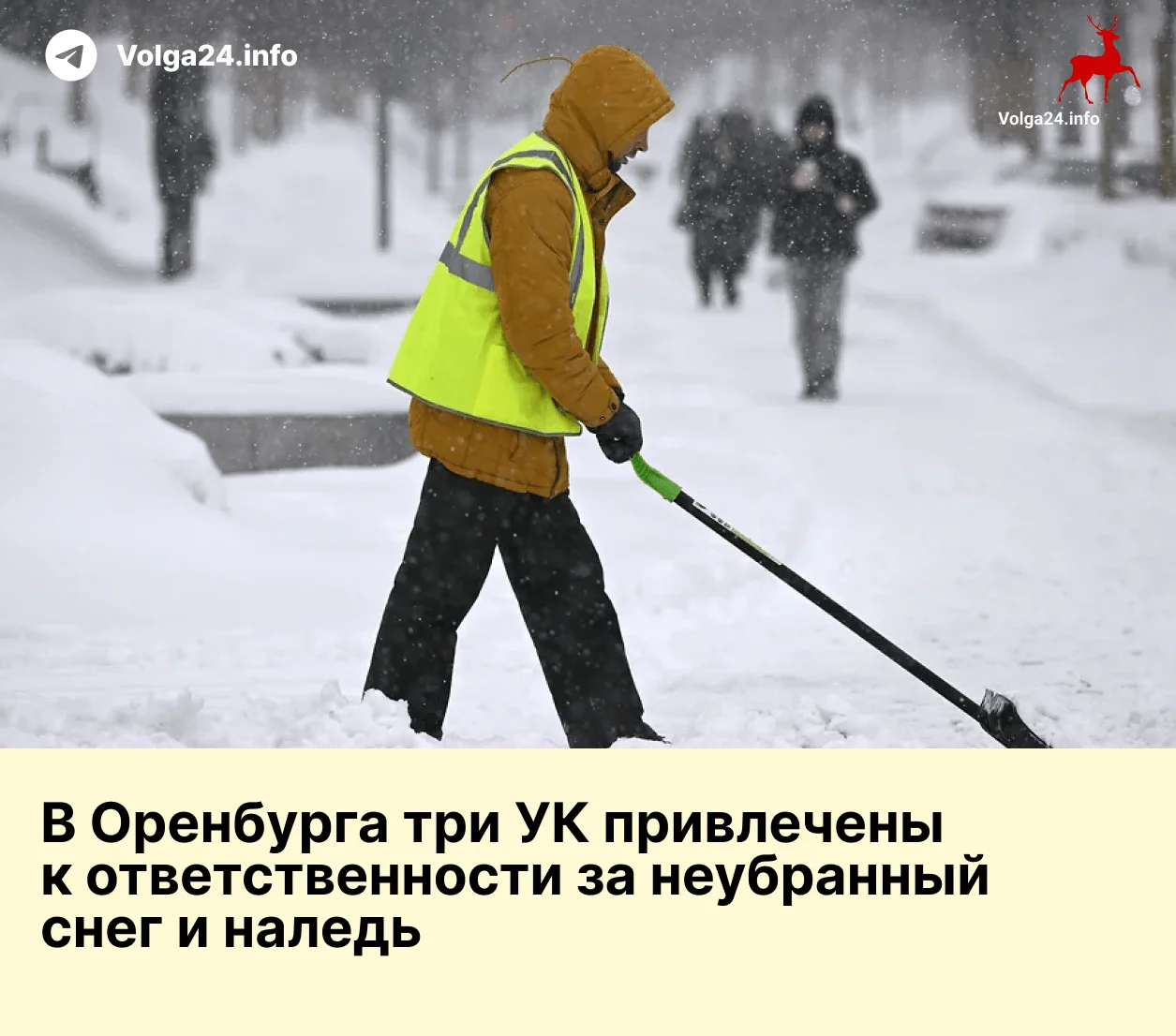 Управляйки не умеют работать без прокурорских проверок