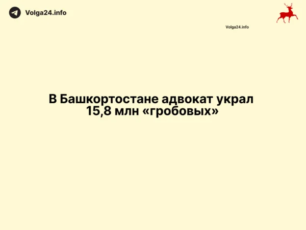 В&nbsp;Башкортостане адвокат украл 15,8&nbsp;млн&nbsp;«гробовых»