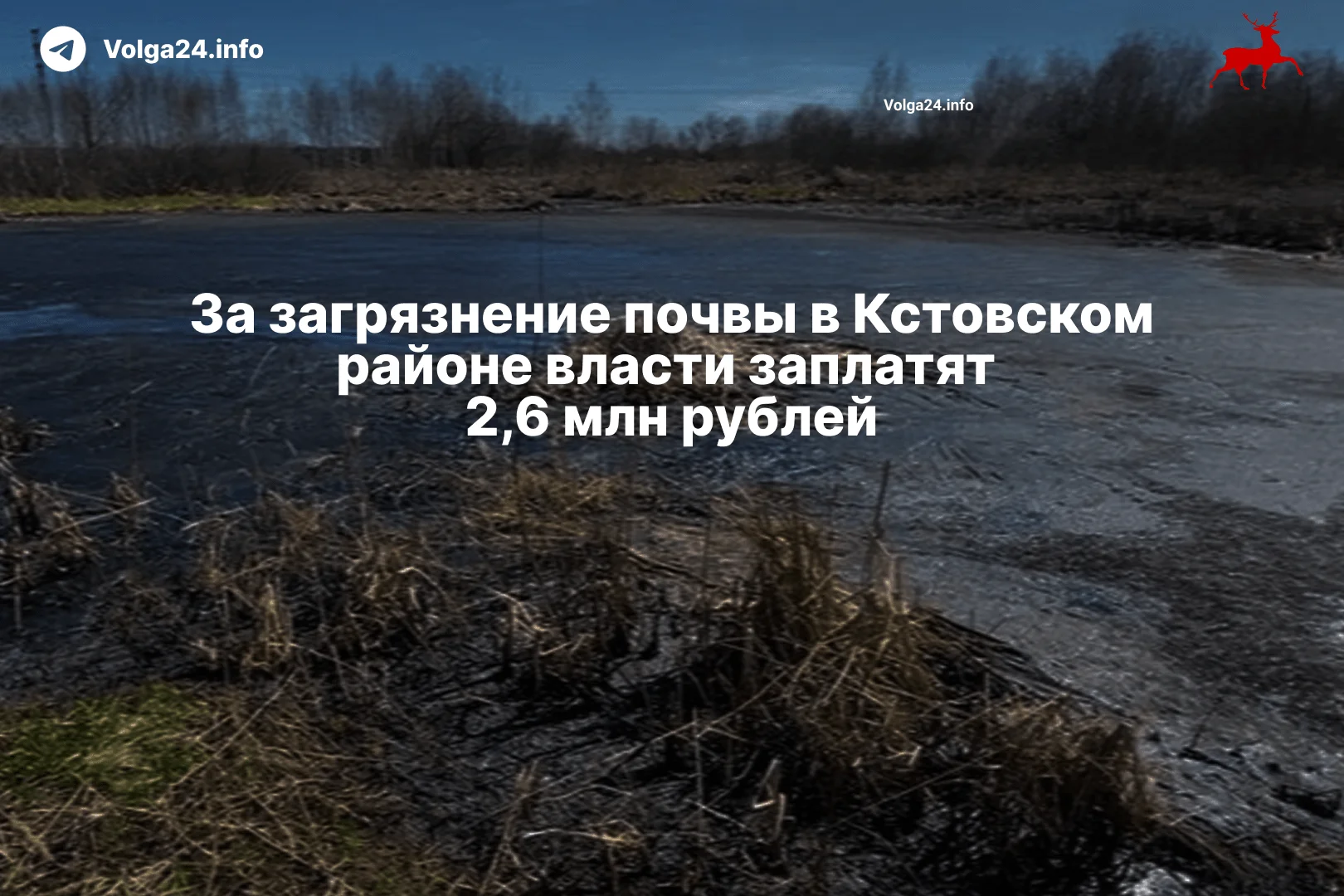 За загрязнение почвы в Кстовском районе власти заплатят 2,6 млн рублей