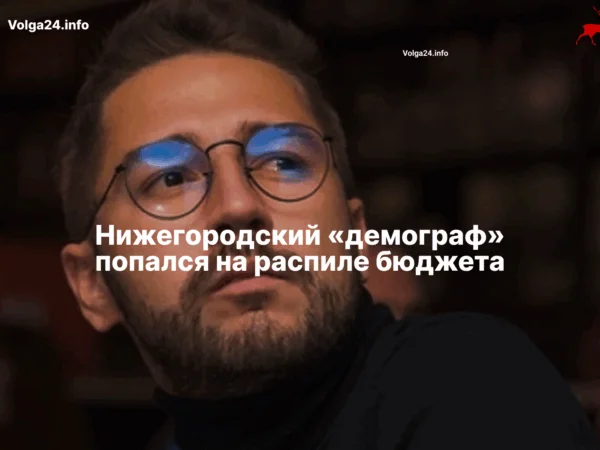 Нижегородский «демограф» попался на распиле бюджета