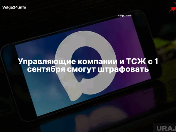 Управляющие компании и ТСЖ с 1 сентября смогут штрафовать
