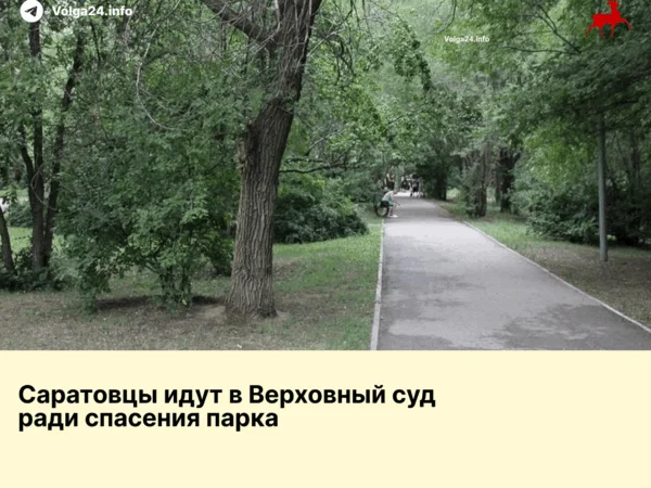 Саратовцы идут в Верховный суд ради спасения парка