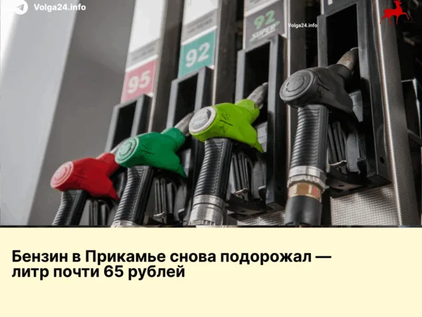 Бензин в Прикамье снова подорожал — литр почти 65 рублей 