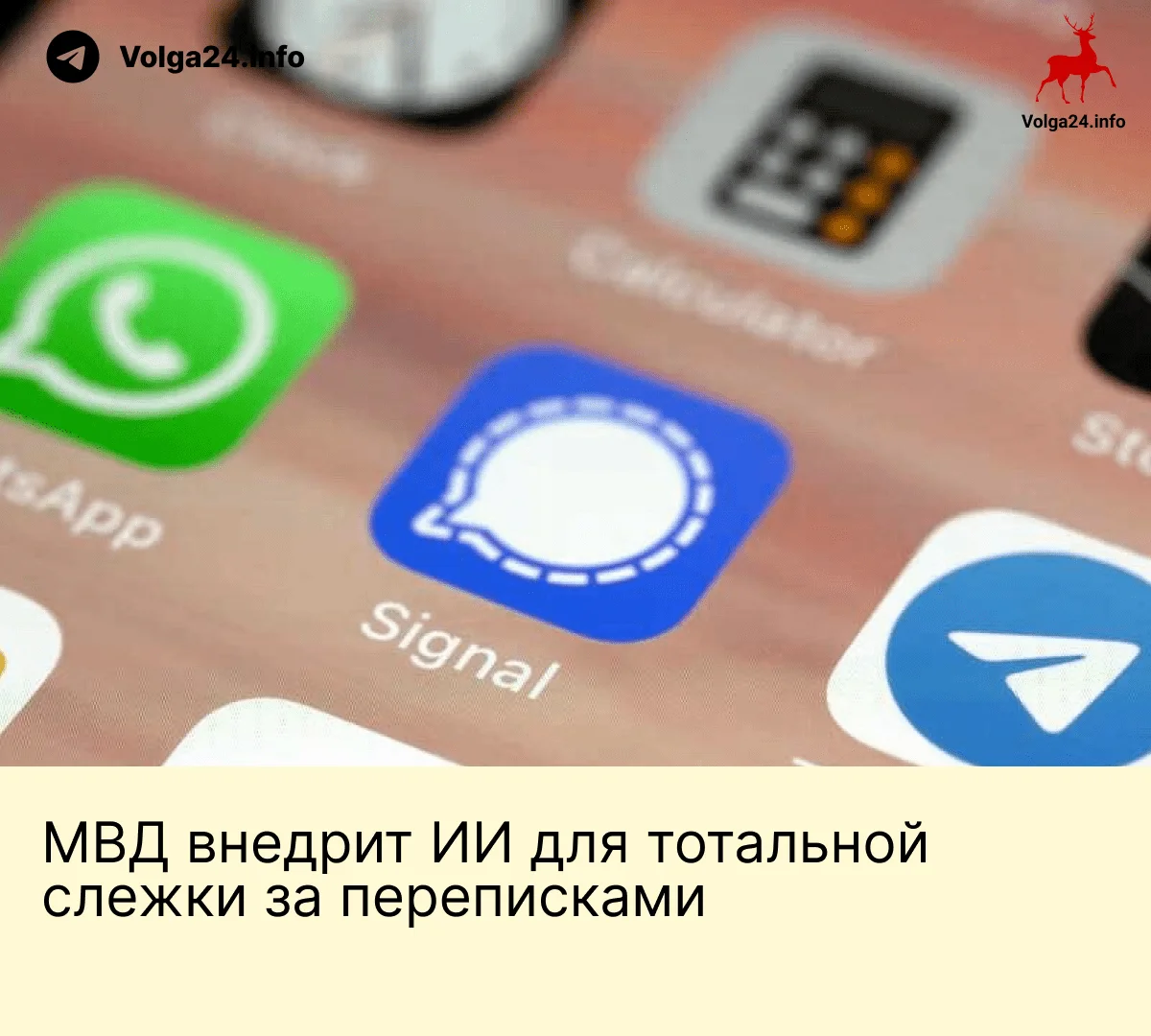 МВД&nbsp;внедрит ИИ&nbsp;для&nbsp;тотальной слежки за&nbsp;переписками