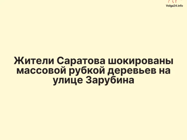 Жители Саратова шокированы массовой рубкой деревьев на&nbsp;улице Зарубина