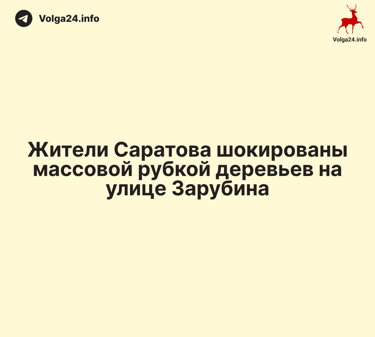 Жители Саратова шокированы массовой рубкой деревьев на&nbsp;улице Зарубина
