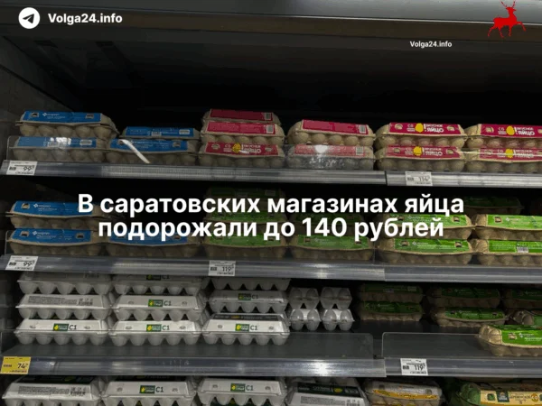 В&nbsp;саратовских магазинах яйца подорожали до&nbsp;140&nbsp;рублей