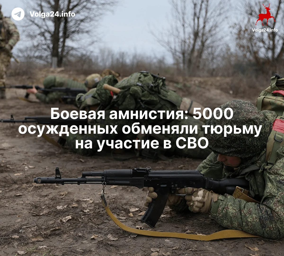 Боевая амнистия: 5000 осужденных обменяли тюрьму на&nbsp;участие в&nbsp;СВО