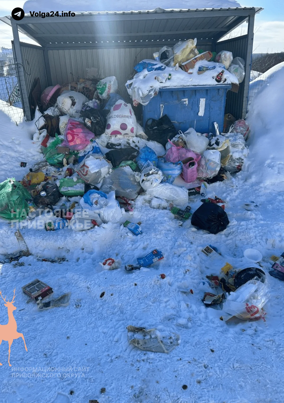 Жители Чебоксар требуют перерасчета за&nbsp;горы мусора