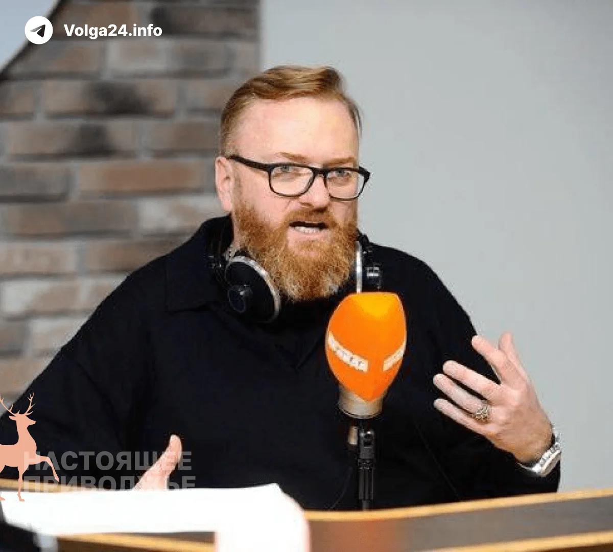 Милонов предложил женщинам «дарить» себе беременность