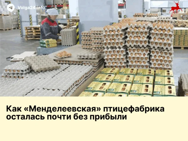 Как&nbsp;«Менделеевская» осталась почти без&nbsp;прибыли
