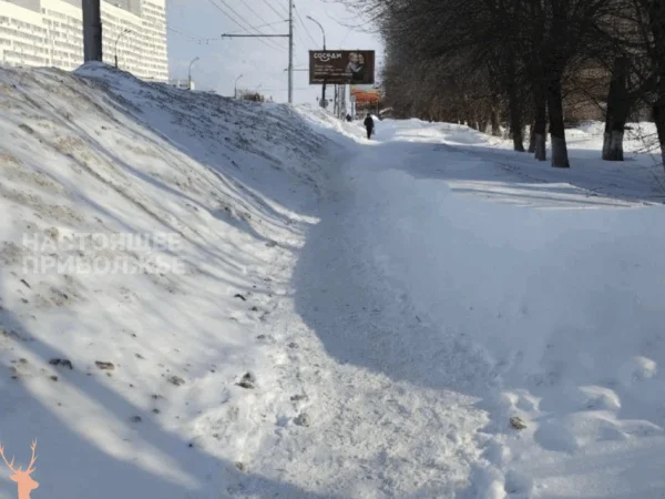 В&nbsp;Пензе признали провал уборки города
