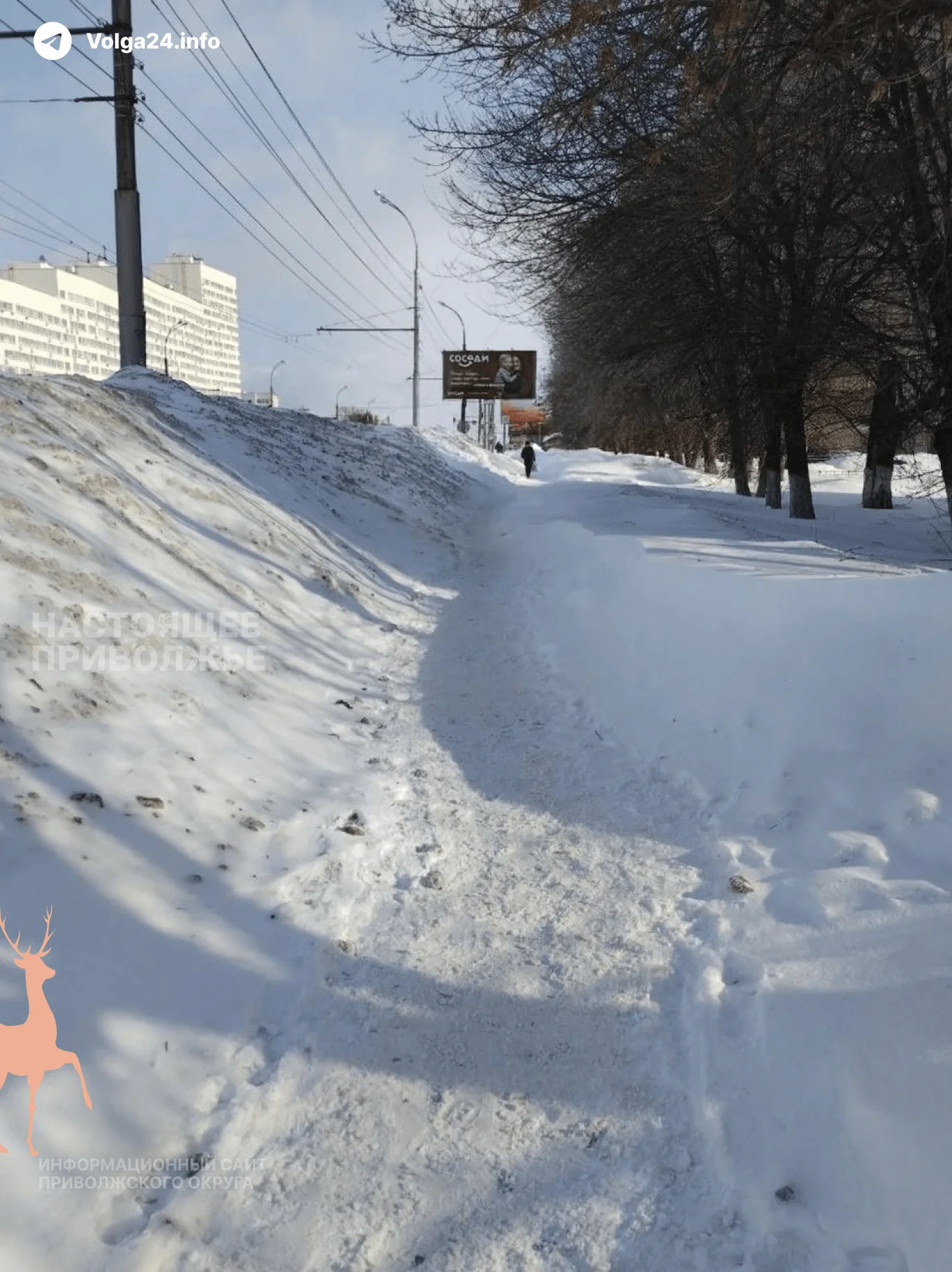 В&nbsp;Пензе признали провал уборки города