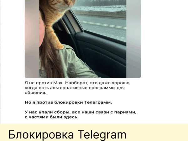 Блокировка Telegram парализовала сборы Z‑волонтеров