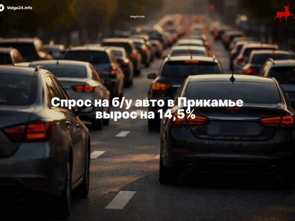Спрос на&nbsp;б/у&nbsp;авто в&nbsp;Прикамье вырос на&nbsp;14,5% 